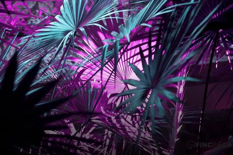 Future Innovations and Possibilities Future Innovations and Possibilities