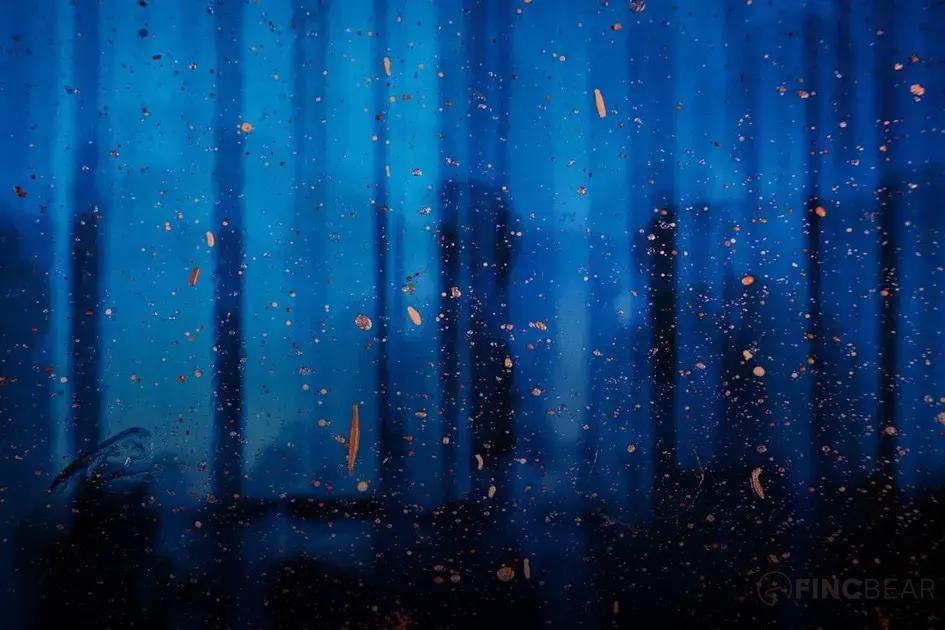 Historical Performance Comparison